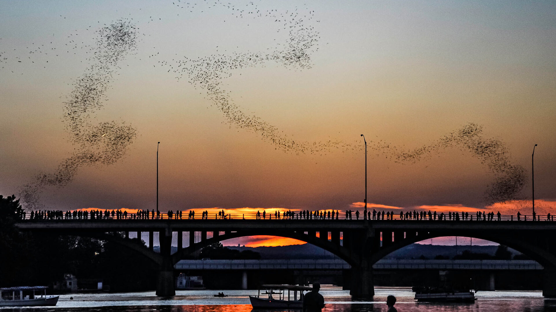 Crowds gather to watch the bat flight at Congress Avenue Bridge in Austin